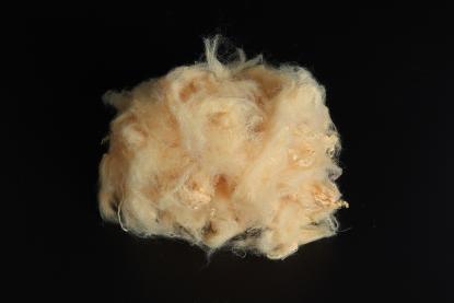 イエローソリッドPSF